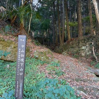 下りてきました