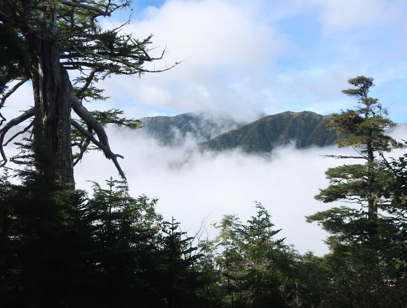 燕岳登山口-合戦沢の頭-大下りノ頭 縦走コースの写真