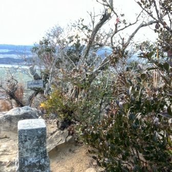三角点の近くにある白い杭で前にケガした方の膝を強打した
