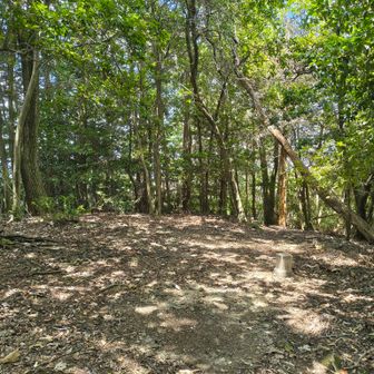 道なりに進むと立木山山頂に到着！
展望なし、三角点あり▲