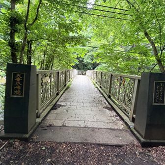 そしておおだるみとうげ橋に出ました！しかしこの頃にはスマホバッテリー充電🪫出来ないことを知ってショック全開😨