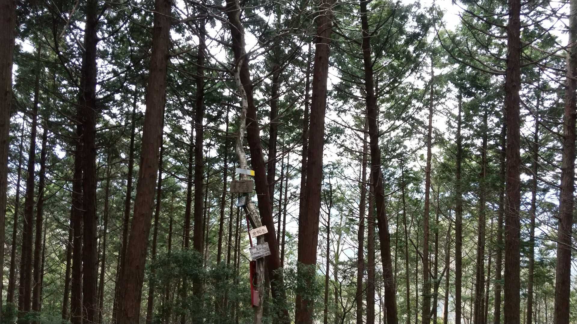 🔺乗鞍岳