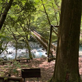 登山口まで帰って来ました。　お疲れ山⛰️でした。　