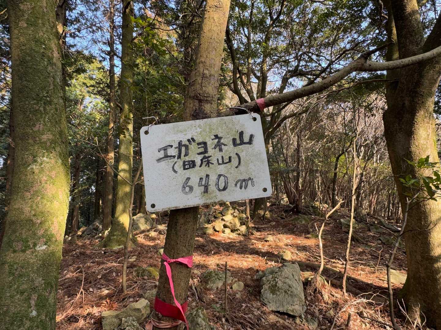 リーダーが偶然見つけた山頂
ラッキー✌️