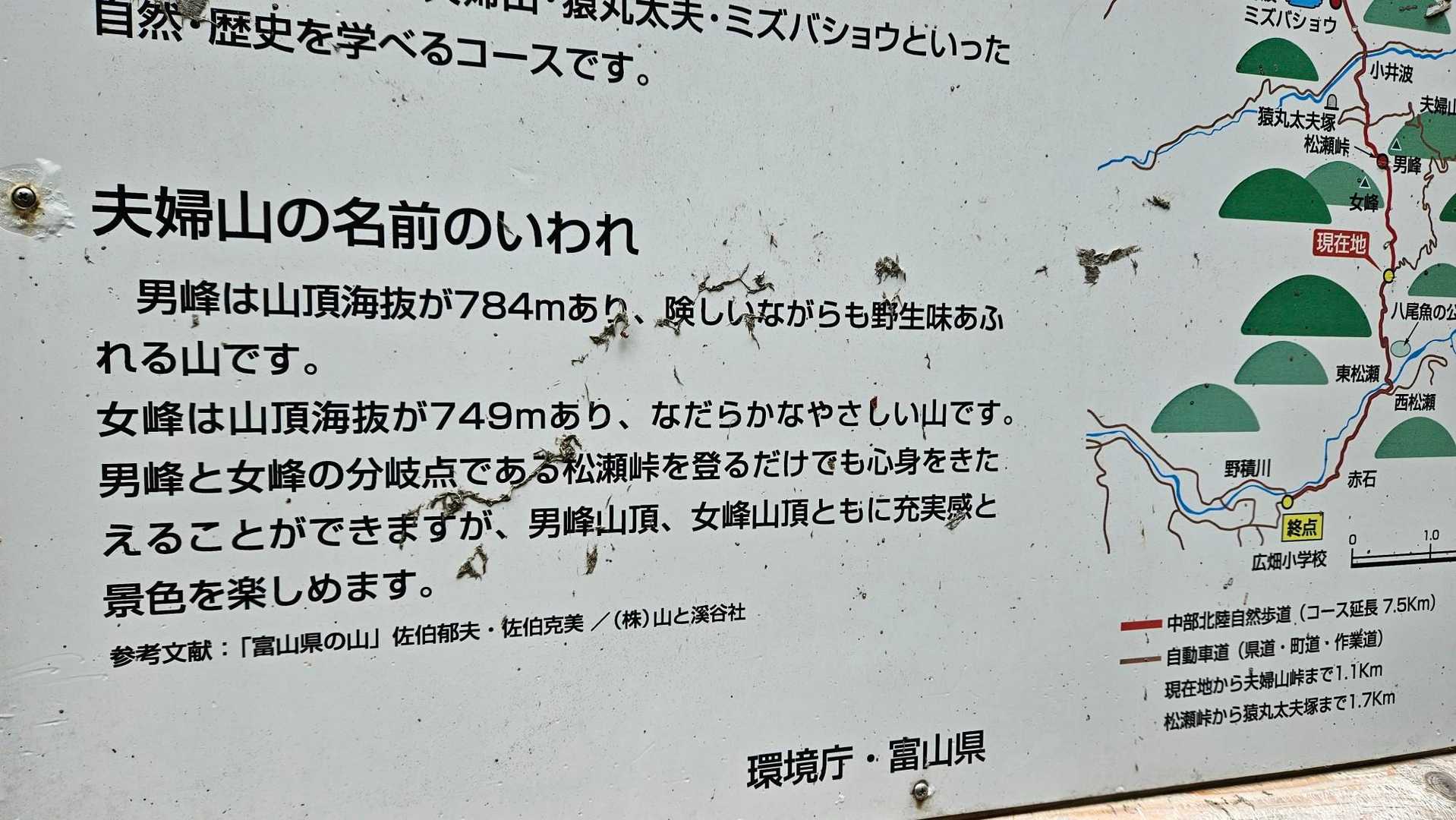 男峰…野性味あふれる…
あら～😍ときめく～