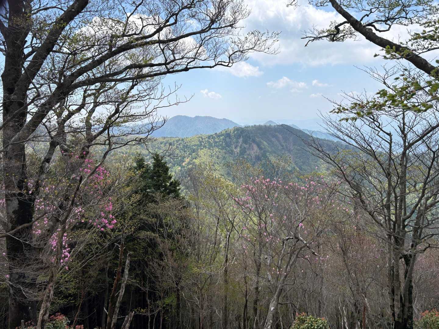 宇土内谷登山口-大崩山 往復コースの写真