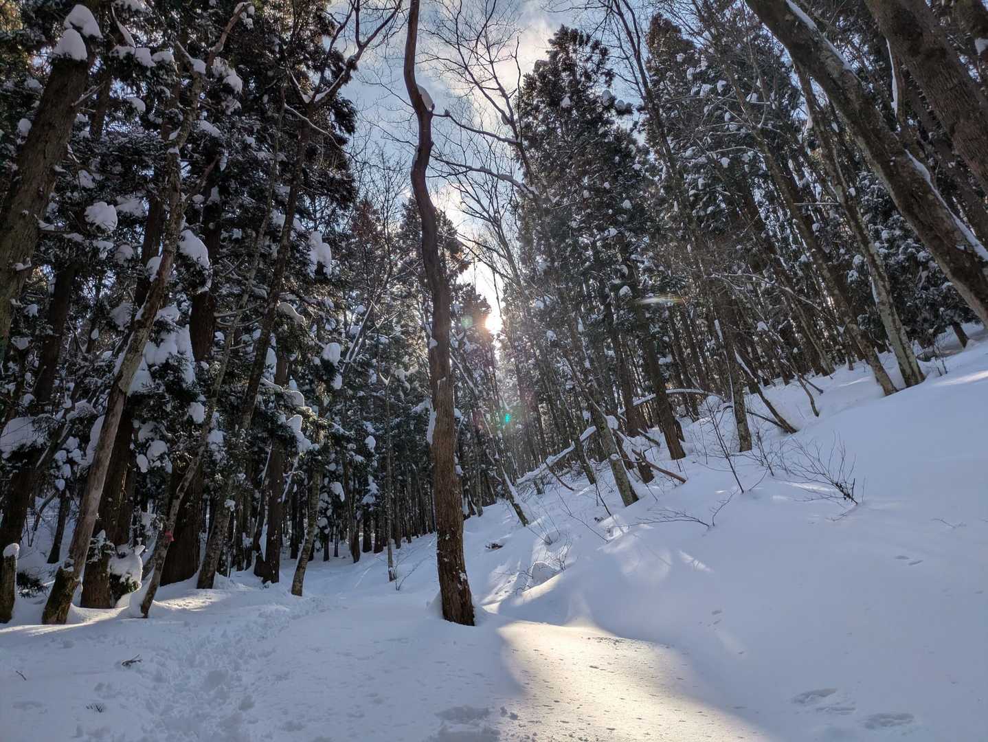キラキラと、見る景色全てが美しいです✨
