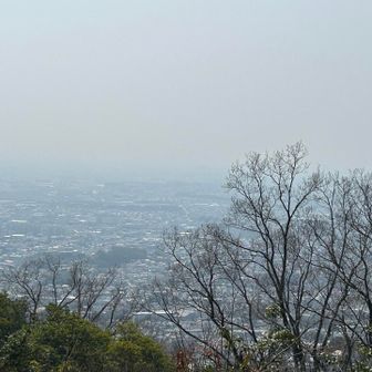 山頂手前からのいい景色。かなり霞んでます😅これは花粉なのかな、花粉なら怖いんですけど😰