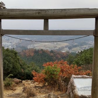 鳥居越しの眺望