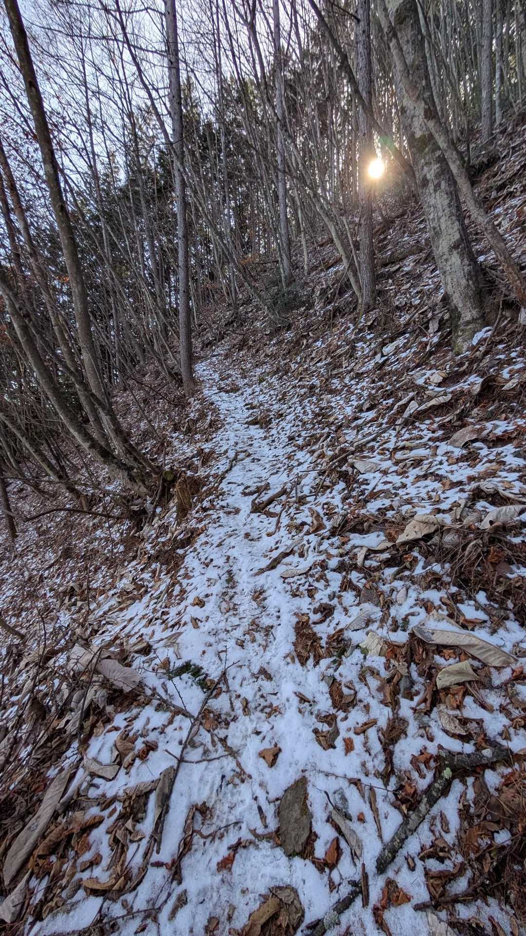 雪あらわる。