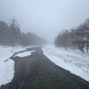 焼岳方面も景色無し😅
