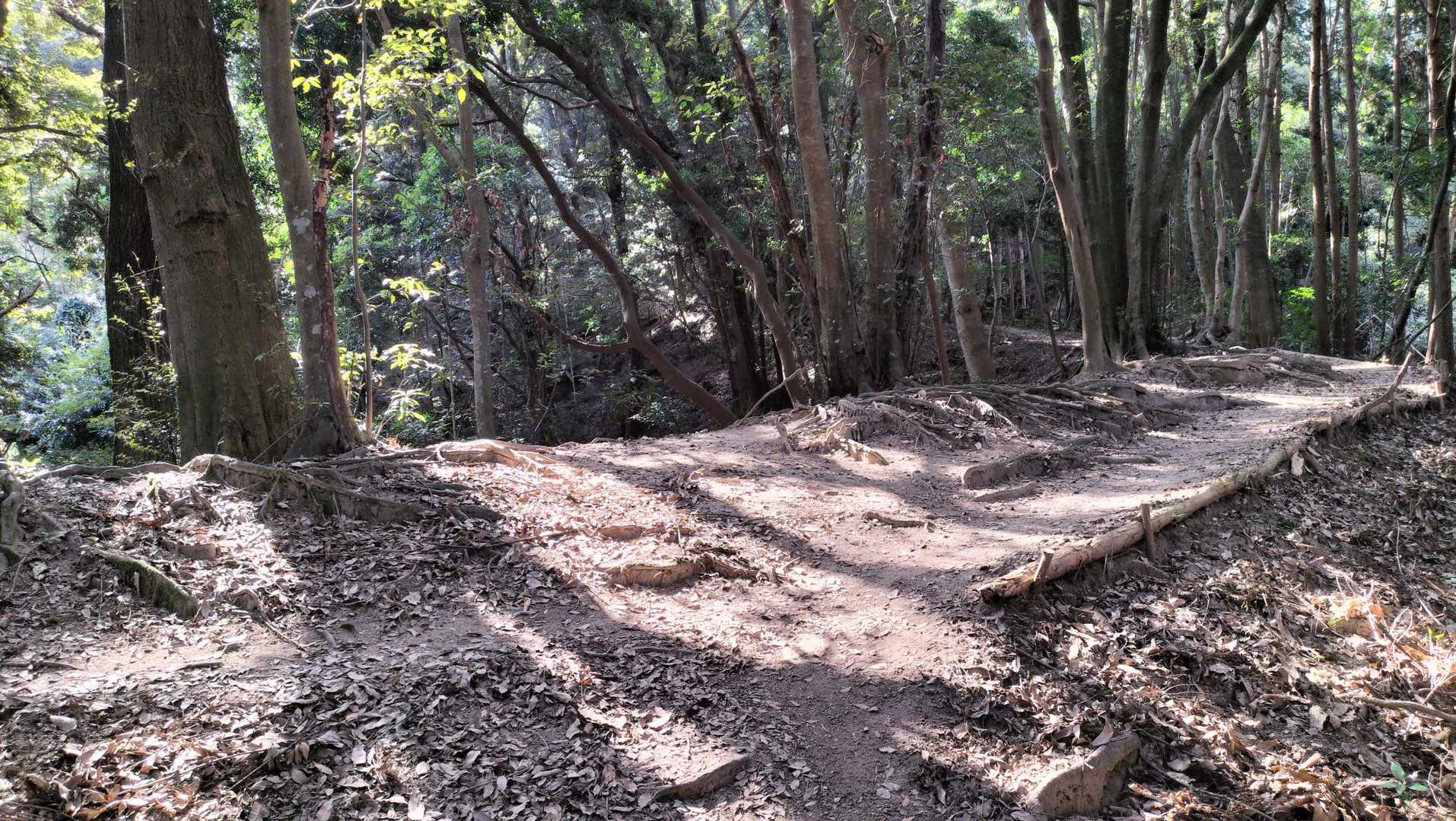 すこしばかり尾根道が続きます。
ありがたい。