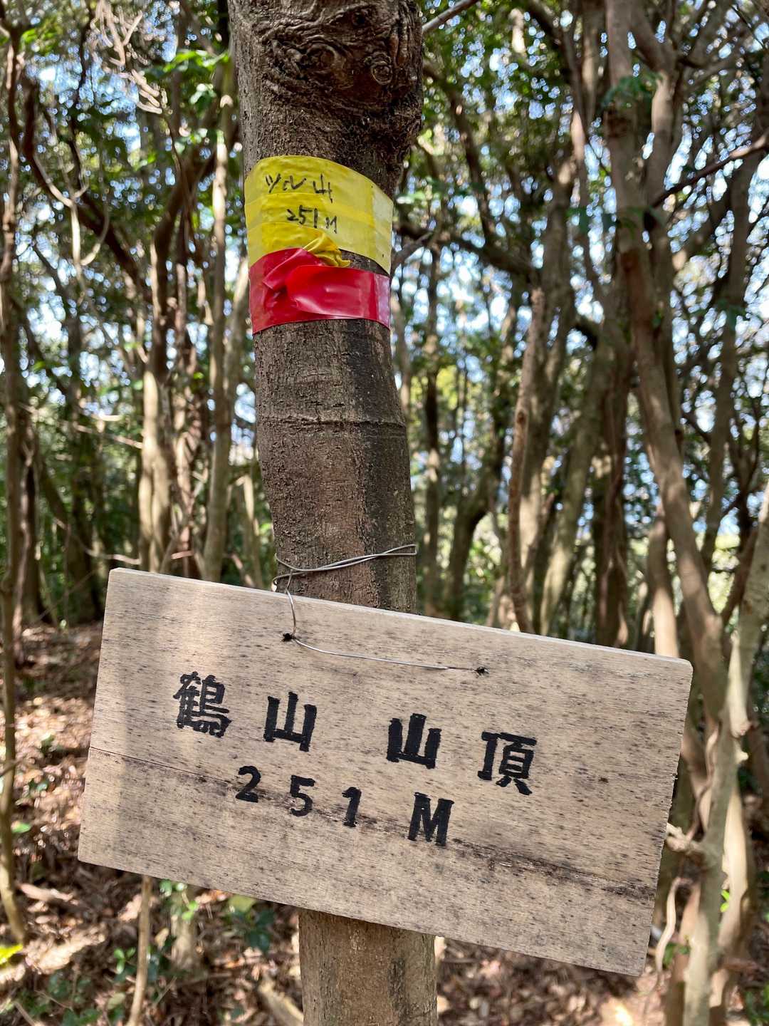 ツル山、書き方が好き😊