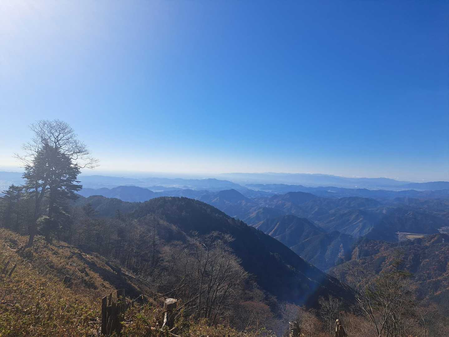 今淵ヶ岳 往復コースの写真