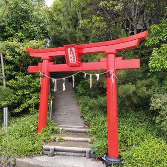 雨のソロ登山です、気をつけて行ってきます