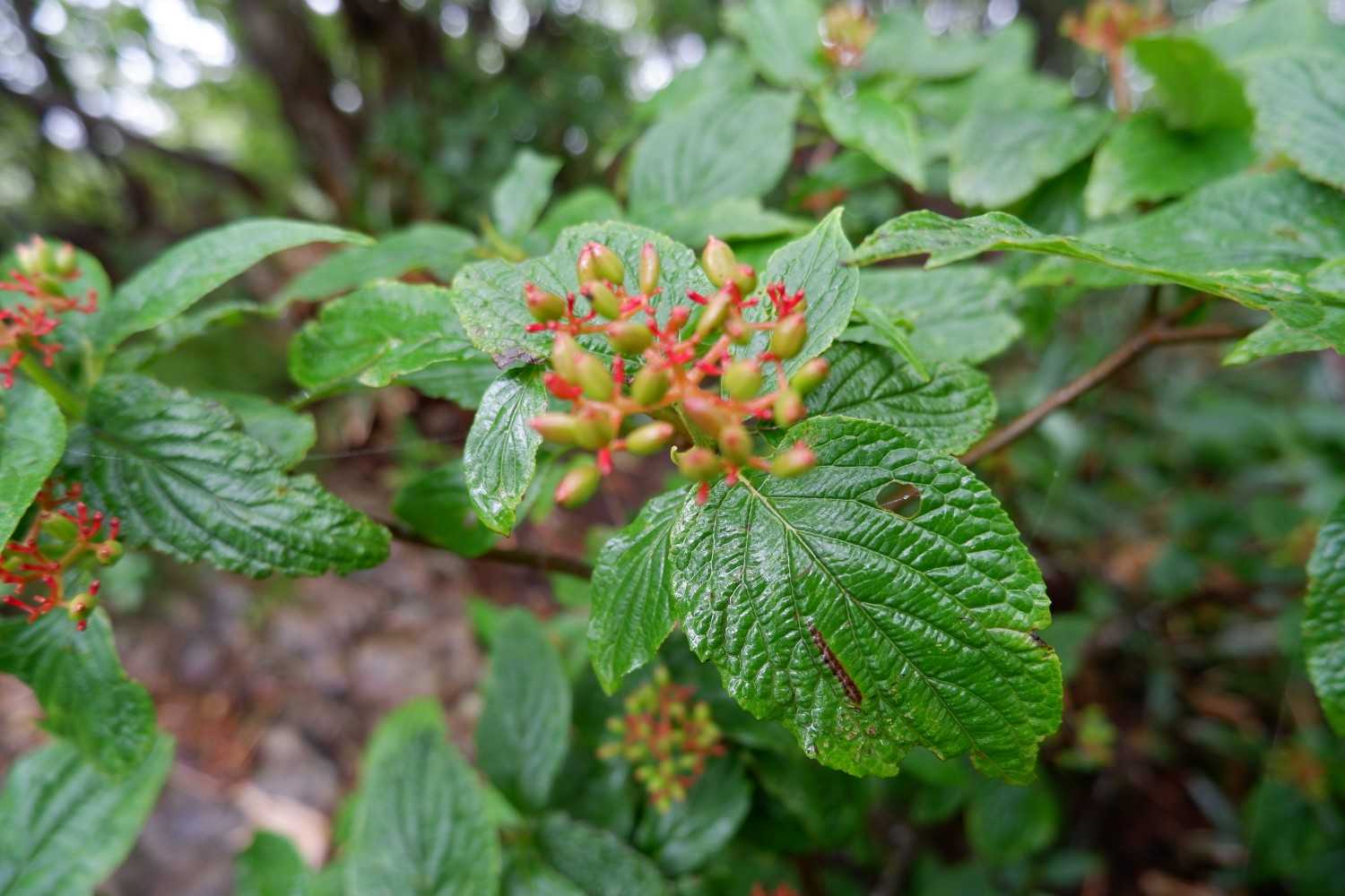 花が終わって実に?