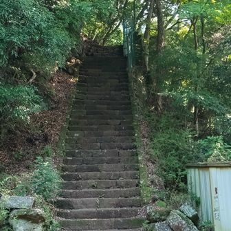 いつもの男坂