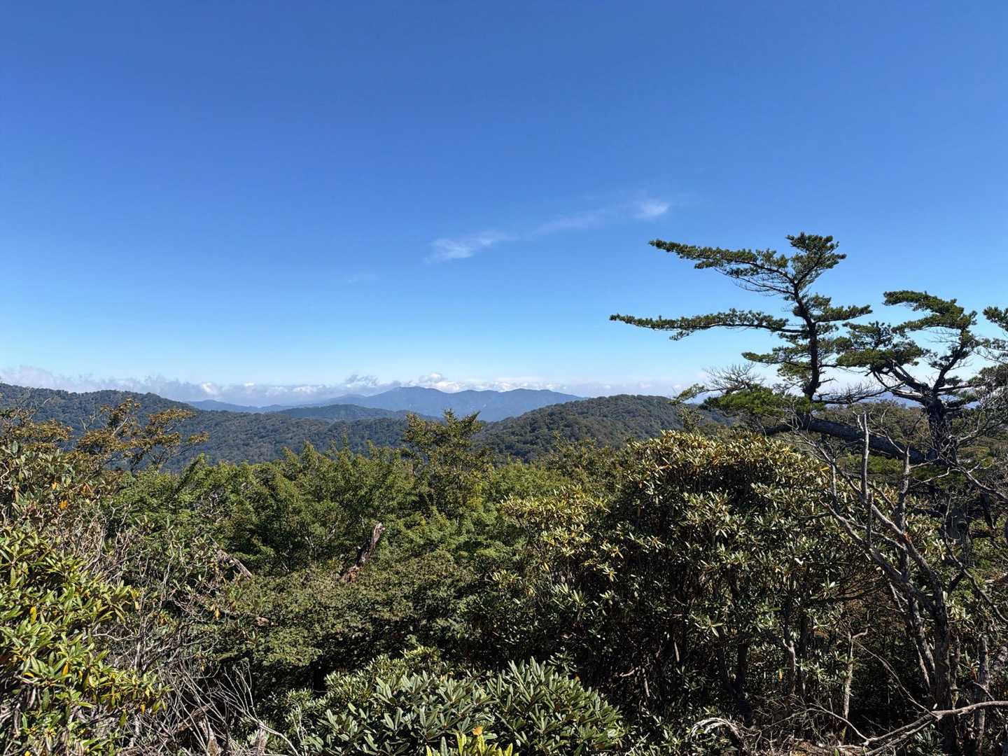 分岐点に戻る途中から撮影😍