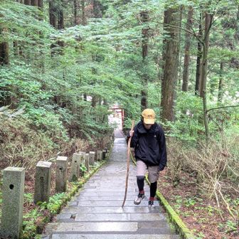 まだ登り初めで、