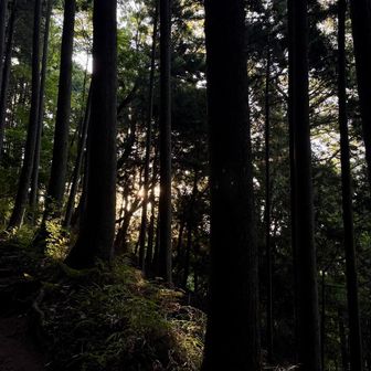 たんたんと登ります