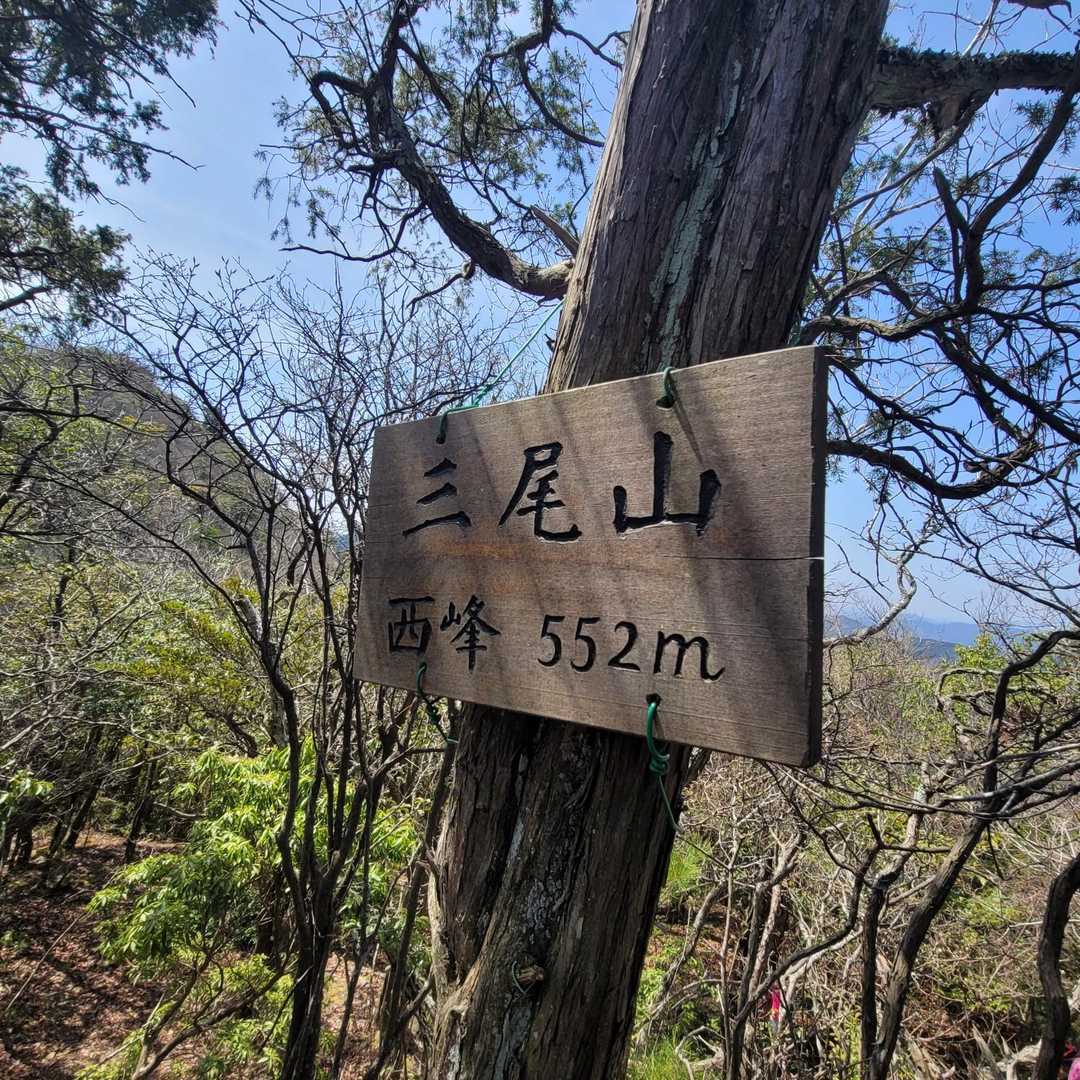 三尾山西峰( 'ω')まで