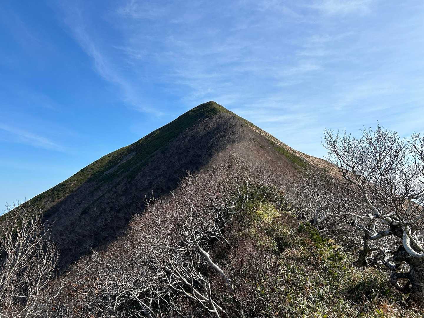格好良すぎて、言葉を失います。