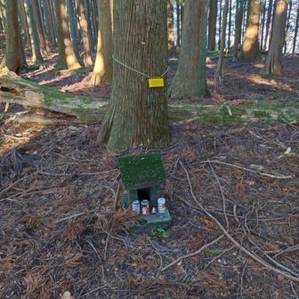 近野山のお社と、頂上の銘板。