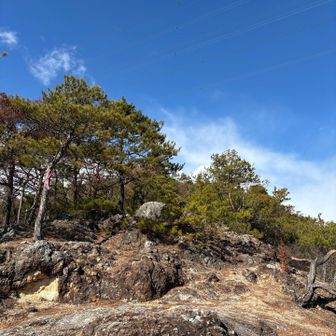 晴れてきたよー☀️