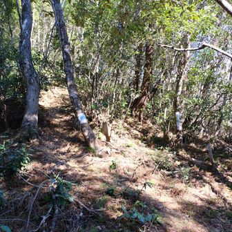 右でも左でも山頂には着く