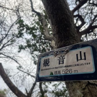 観音山の本当(?)のピークに初めて立ち寄ってみたけど・・狭いし眺望無しで正直ナンダコレな感じでしたw