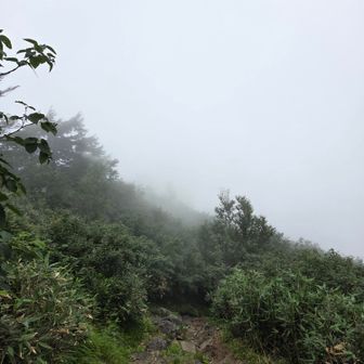 涼しくなってちょうど良い☁️