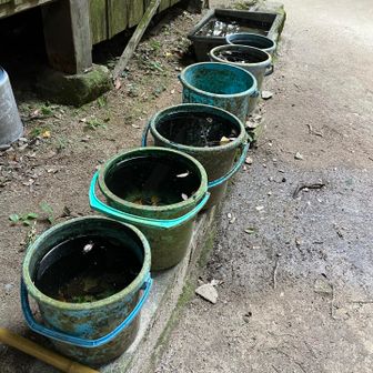 寒いとこのバケツが凍ります