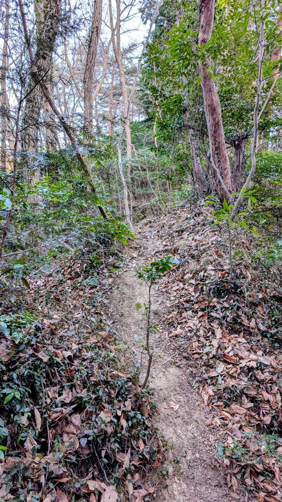 この道、前からあった？
今度登りで使ってみよう