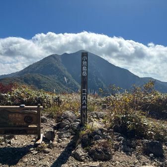小荒島岳から荒島岳を望む