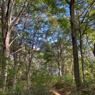 標高下がると
良い天気☀️