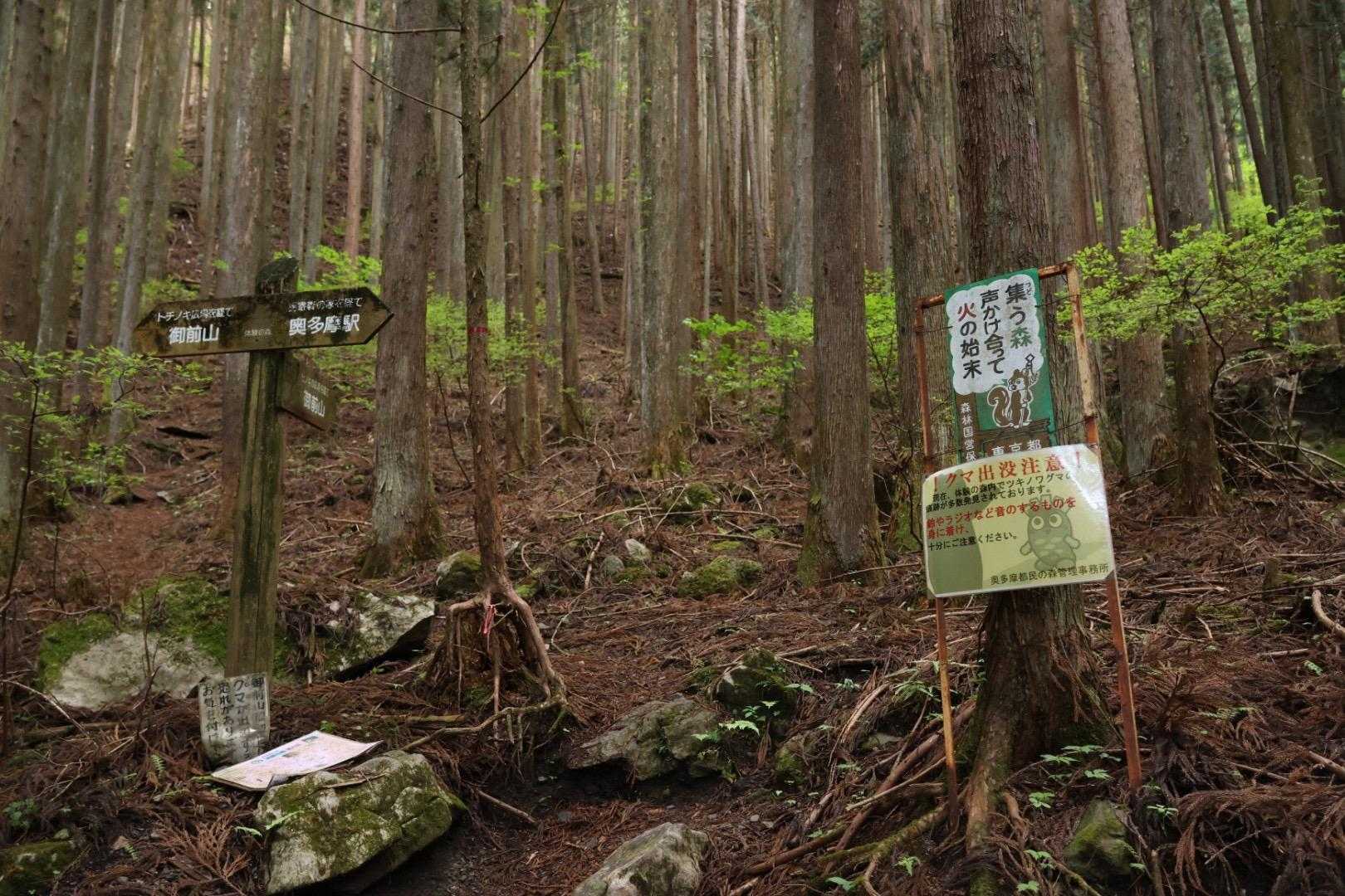 ひたすらの林道歩きです
🐿️
ここからも登れるようですが、
山行記録あまりみたことないです