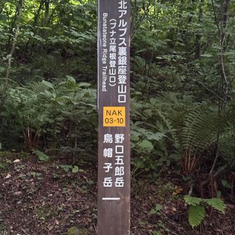 いよいよ入山✨️