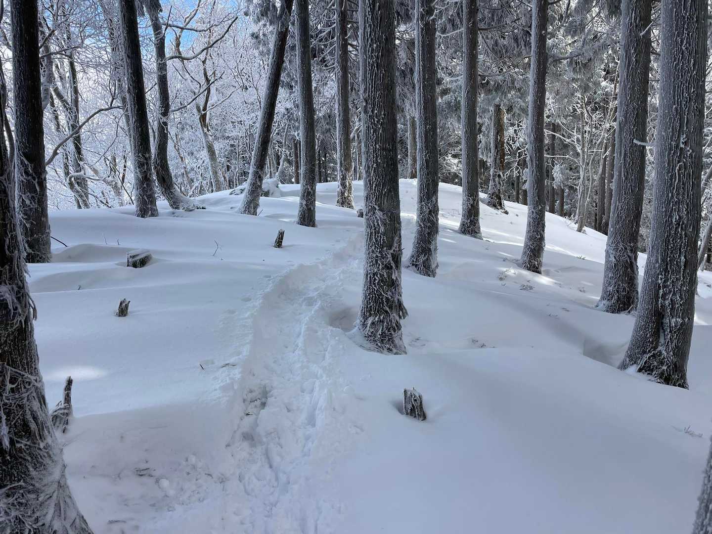 下山します！