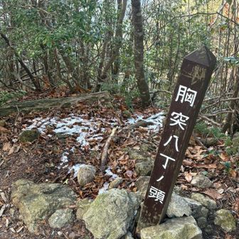 胸突八丁の頭　上まで来ました