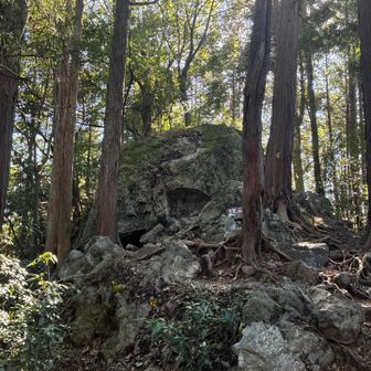 全体にすると迫力が…