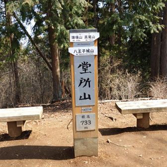 ここも特に眺望は無かった。寄らなくていいだろう。