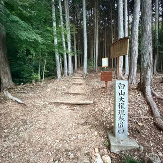 ここが登り口