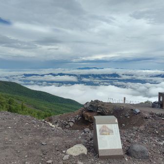 ついでに六合目まで行ってみたら、まさに雲の上だった🫢