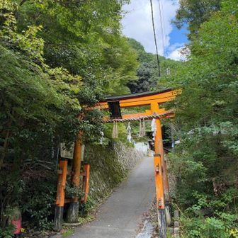 本日もよろしくお願いします