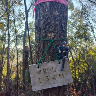 あらまあっ　早くも１つ△ゲット🙌