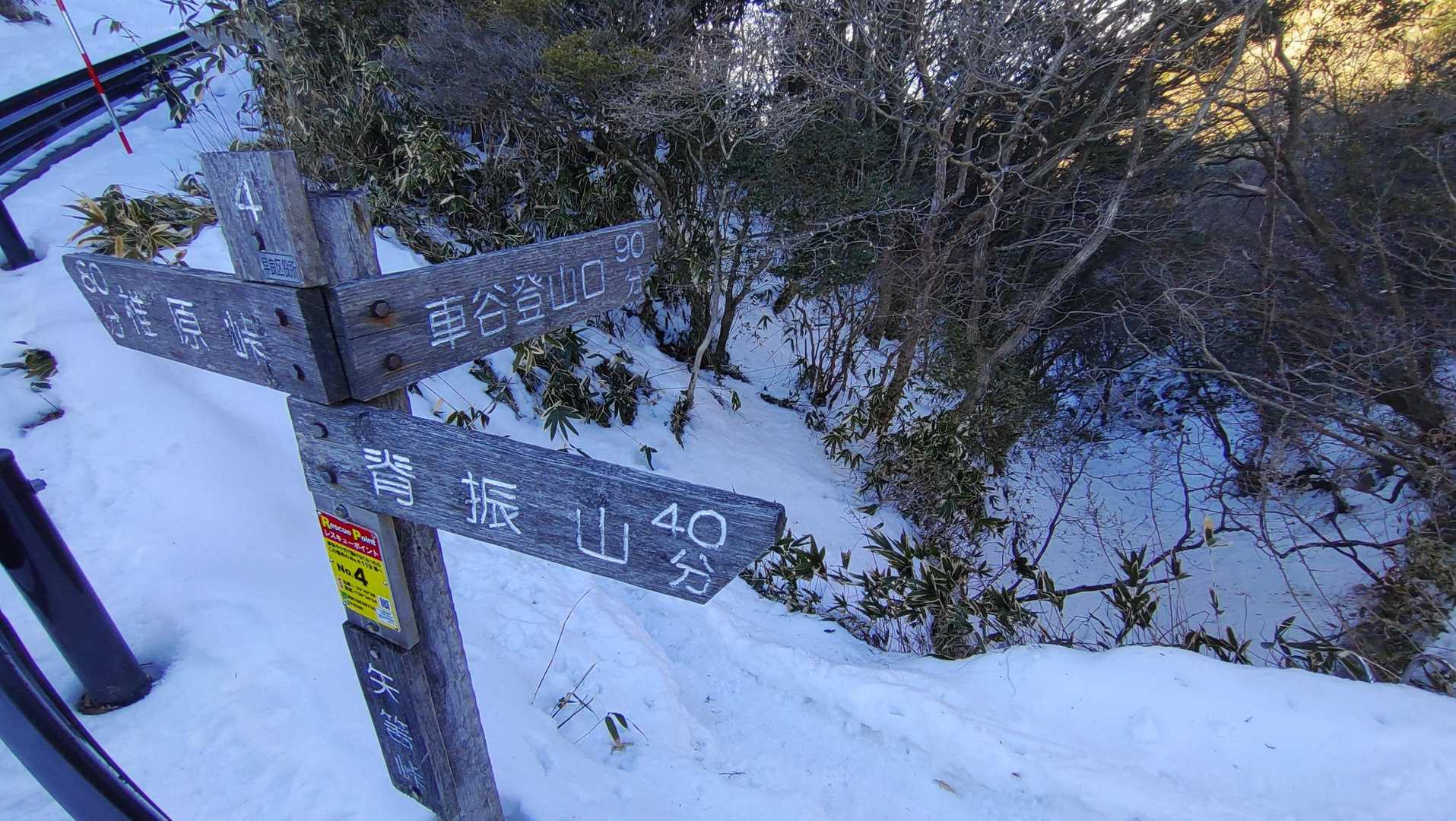 周回しようかずっと迷ってたんですけど、椎原峠まで歩いても私の足では明るいうちに下りてくるのはまず無理なので周回は諦めます

初見の山で雪があるのに無理しても楽しめないですからね。
大人しくピストンします🤗