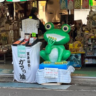 日本百名山41】ガマの油といえば筑波山(女体山) / あきたん☆さんの