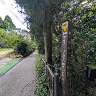 登り区間終了