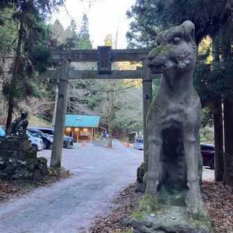 武甲山の狛犬はオオカミ🐺　かっこいい😆