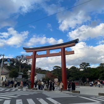 鶴岡八幡宮。
年一回はこのあたり来ていますが、ここ数年で一番人が少ない気がします。